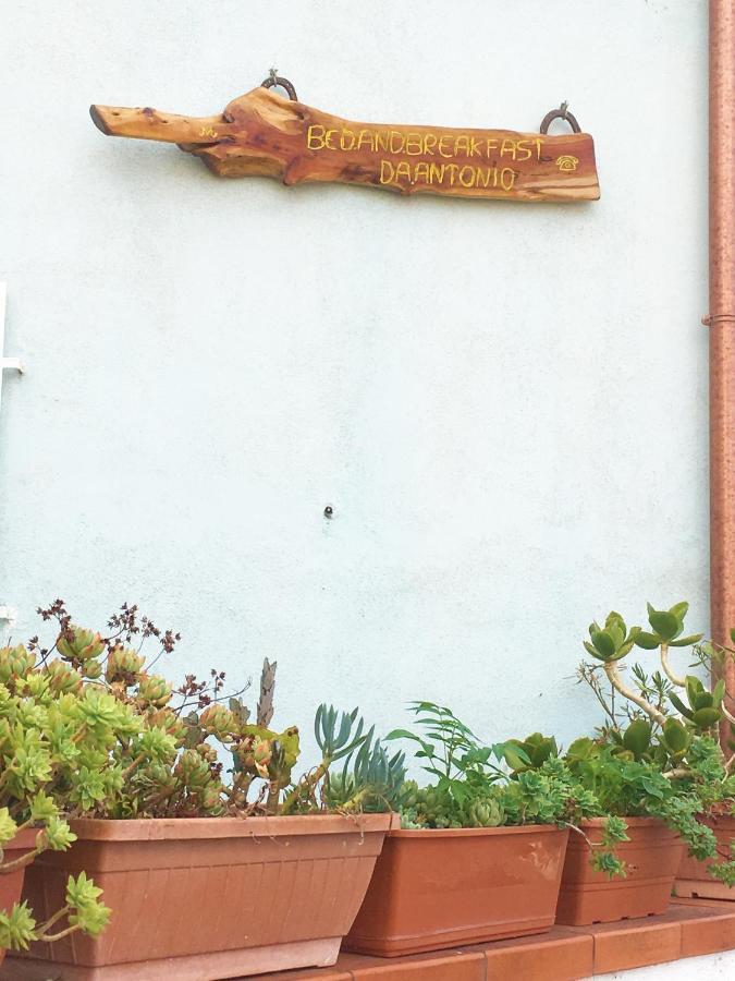 Bed And Breakfast Da Antonio - Orgosolo Zewnętrze zdjęcie